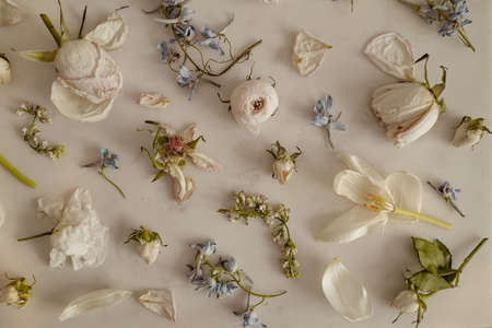 Withered flowers print.の写真素材