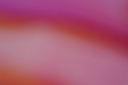 Abstract Blur Pink Color Backgroundの写真素材