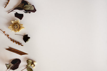 Withered plants photo mockup.の写真素材