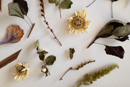 Withered floral print.の写真素材