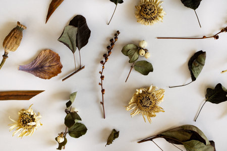 Withered floral print.の写真素材