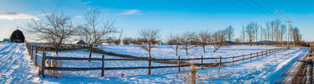 Panoramic winter scene with sheep and dogs