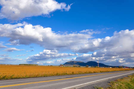Road, fields and mountainの写真素材