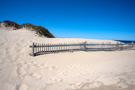 Wooden fence on sand dunes in sunny day, Cape Codの写真素材