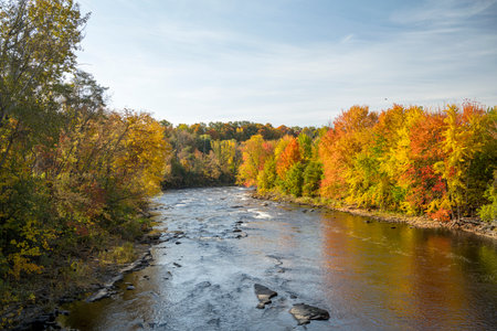Autumn landscape with Ausable River in the fall and colorful trees in the forest.の写真素材