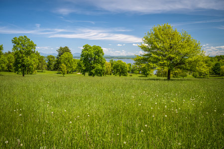 Beautiful summer landscape with green meadow, trees and blue sky at Willsboro NYの写真素材