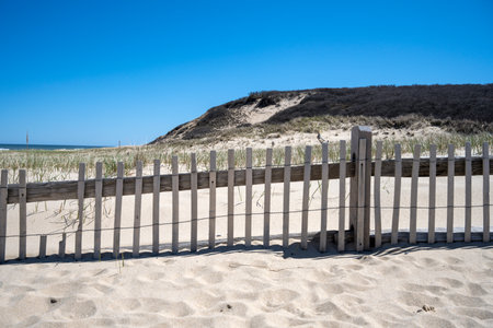 White sand dunes and wooden fence on the beach Cape Cod in springtimeの写真素材