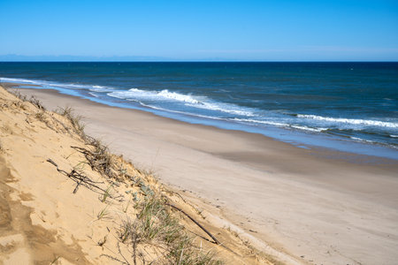 Sand dunes and blue sea Cape Cod in springtimeの写真素材