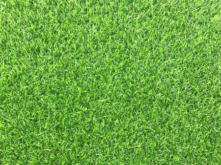 Green artificial grass for backgroundの素材