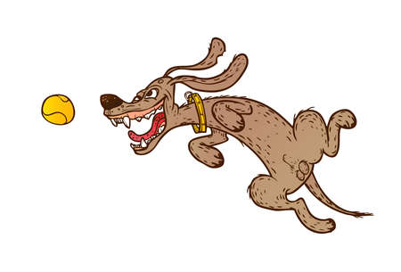 cheerful dog jumped up and wants to grab the yellow tennis ballのイラスト素材