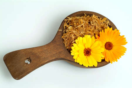 Medicinal plant Calendula officinalis, dry and fresh blossomsの写真素材