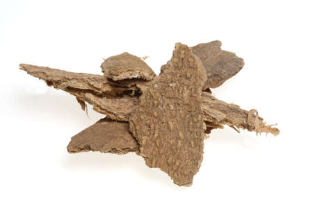bark of Tree of Heaven, Ailanthus altissima, medicinal plant