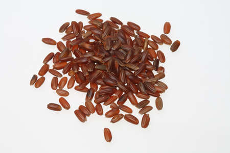 Red rice, a varity called Camargue rice, from Franceの写真素材
