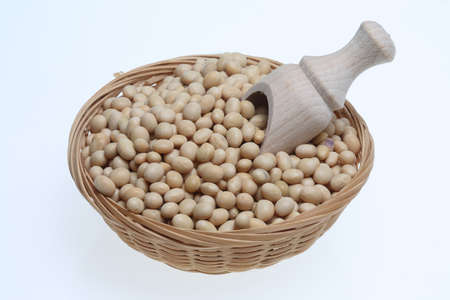 Soybean, Glycine max, from organic productionの写真素材