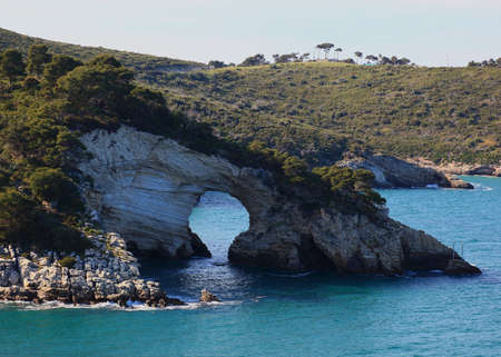 Le Architiello, the coast near Vieste, Gargano, Puglia, Italyの写真素材