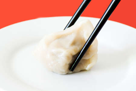 Dumplingsの写真素材