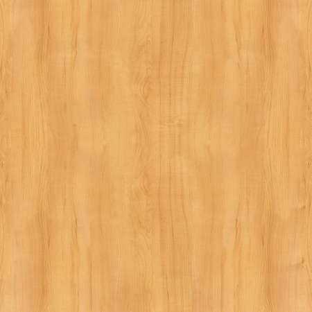 very large grainy wood background or texture  の写真素材
