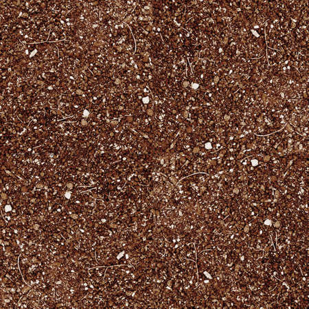 Seamless scobs background の写真素材