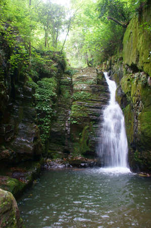 Deep forest Waterfall の写真素材