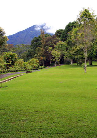 Pathway beside the lawnの写真素材