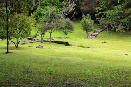 Pathway on th lawnの写真素材