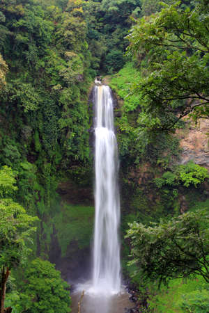 Waterfall in a rainforestの写真素材