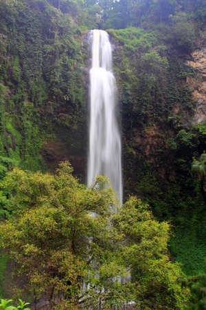 Waterfall in a rainforestの写真素材