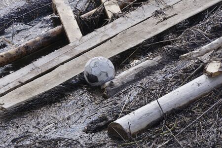 a pile of garbage and on the lake shore