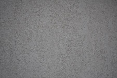 Decorative plaster with stone pearl effect for interior designの写真素材