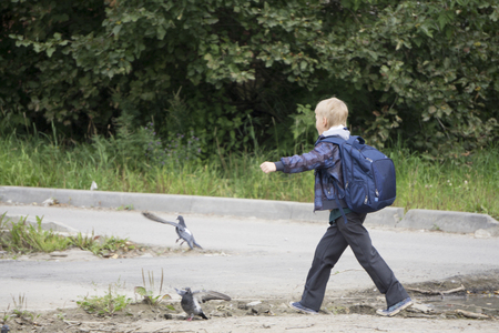 Little boy with a backpack go to school. Back viewの写真素材