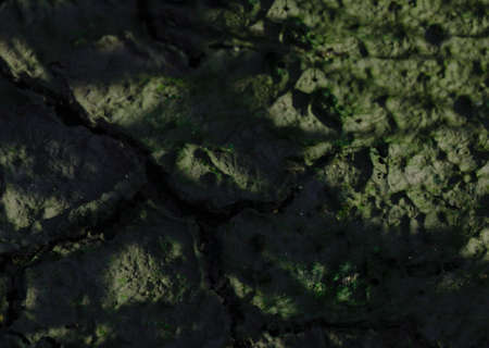 black brown Cracked land textureの写真素材