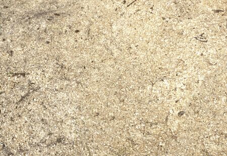 Wood sawdust texture material background closeup, top viewの写真素材