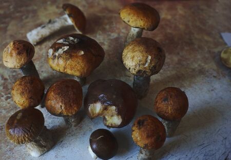 Fresh boletus mushrooms in a basket and dry mushroom on wooden table, overheadの写真素材