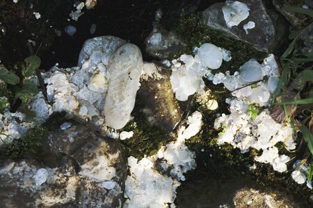 Wastewater, pollution, Global warming, bad life, Duckの写真素材