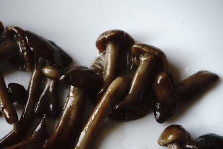 Fried mushrooms laid out on a white surfaceの写真素材