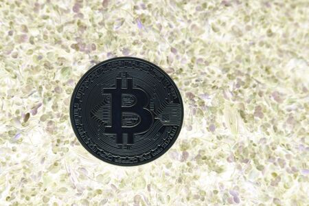 bitcoin in the green swampの写真素材