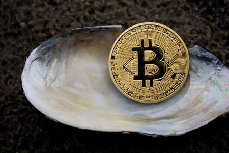 Golden bitcoin closeup on a background of seashells.の写真素材