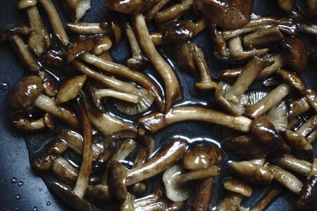 Fried mushrooms mushrooms in the panの写真素材