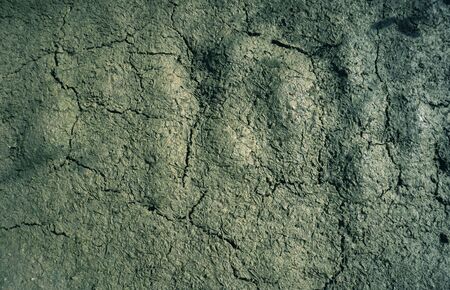 Cracked dry mud earth background textureの写真素材