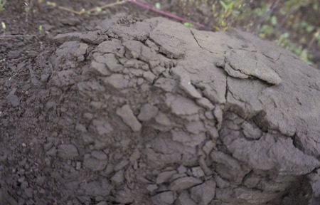clay cracks of an old earthの写真素材