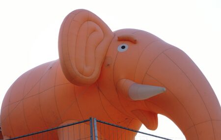 Inflatable pink elephant with white tusks against the blue sky tied ropesの写真素材
