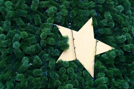 Christmas tree with starの写真素材