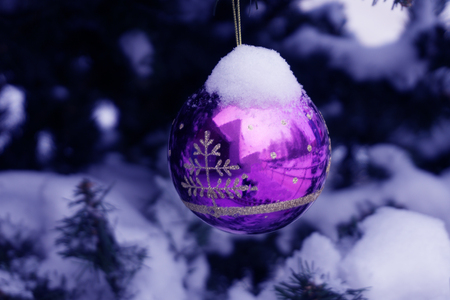 Beautiful Red Christmas Ball on the Fir Branch Covered with Snow. Christmas Background ,の写真素材