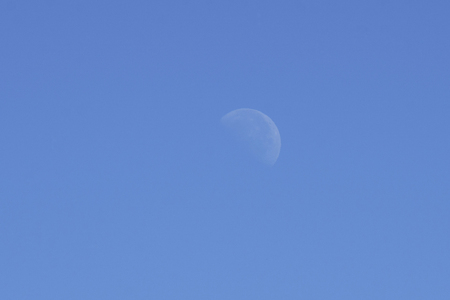 Moon day on blue sky.