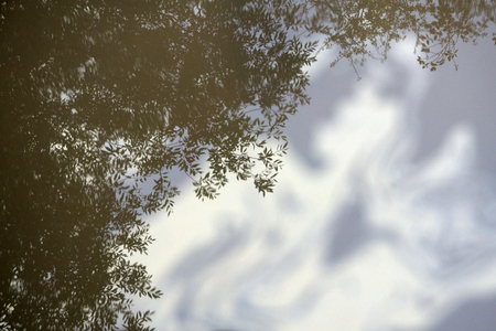 The reflection in the water of the trees growing on the banks. The sky reflected in the water