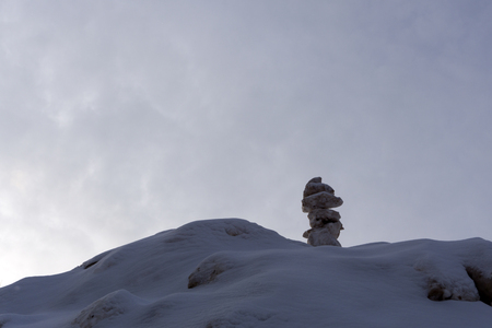 festive Christmas tree snow wine of acres adorned withの写真素材