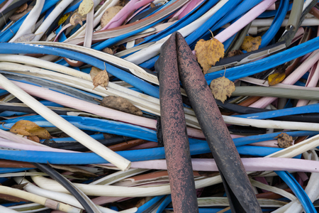 Abandoned commercial wire Abandoned plastic wireの写真素材