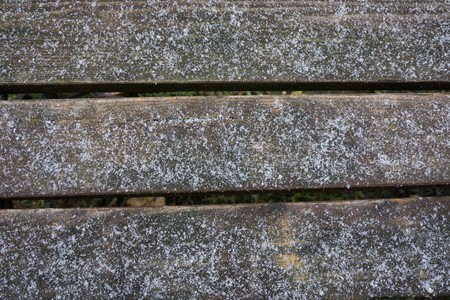 Blue wood texture with snow christmas backgroundの写真素材