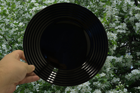 Empty plate on wooden backgroundの写真素材