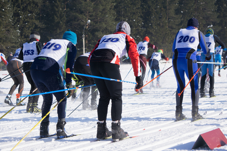 closeup feet group athletes running snowy path in woodsの写真素材